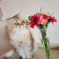 Yukimi JMTA認定音楽療法士