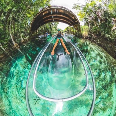 Get Up And Go Silver Springs