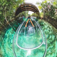 Get Up And Go Silver Springs