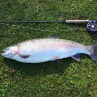 Baddlesmere.bsky.social