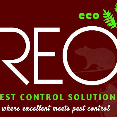 Reo Pest Control Experts 07061385616