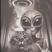 TMBConspiracyTheorist