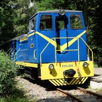 An Impudent Main Bastard