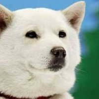 HKT推っし推し1日歯医者🦷🕝️