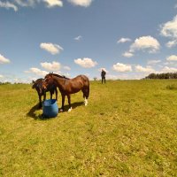 Leonardo Quintero Toro