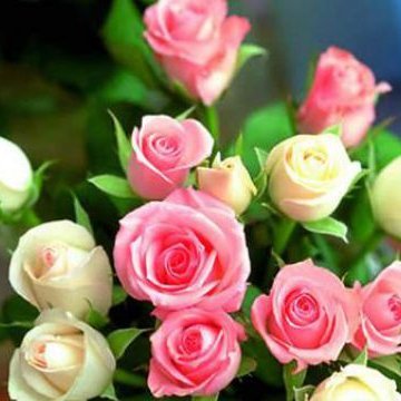 lili0432🔥🔥🔥