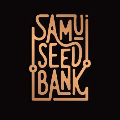 samuiseedbank thailand