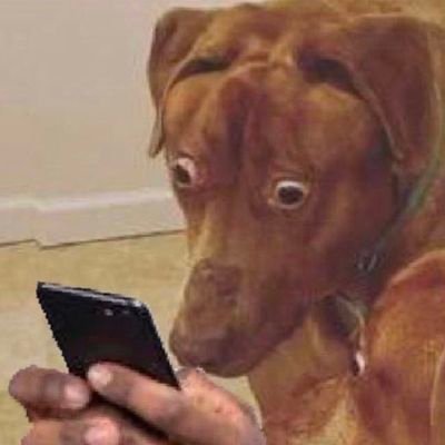 一个简单关心的公民