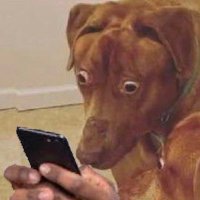 一个简单关心的公民