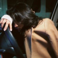 DinoNuggies 🇵🇸