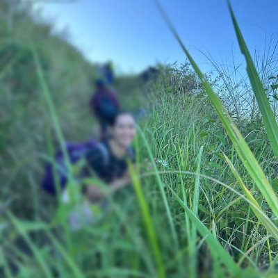 Music lover like JPN