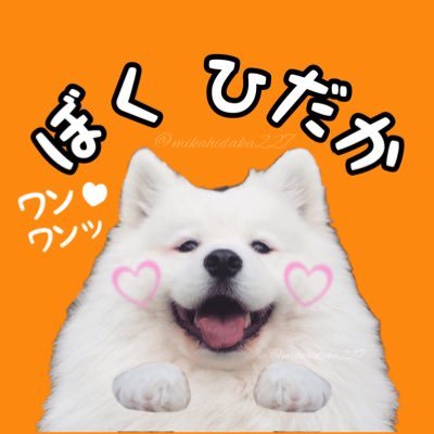 ひだカワイーヌ🐶🧡