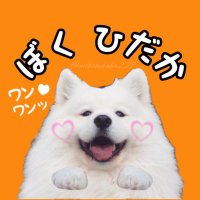 ひだカワイーヌ🐶🧡