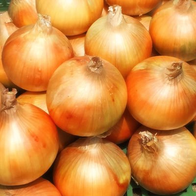 玉ねぎおじさん🎃フォロー歓迎