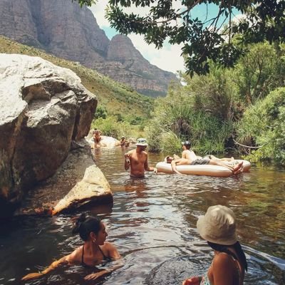 It's A DoggyDogWorld