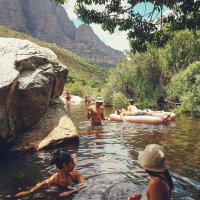 It's A DoggyDogWorld