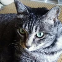 きゃらめるぷりん🪄✨