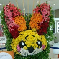 うずらフレンズ☀