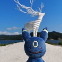 うさぎ@猪突猛進🐗✨