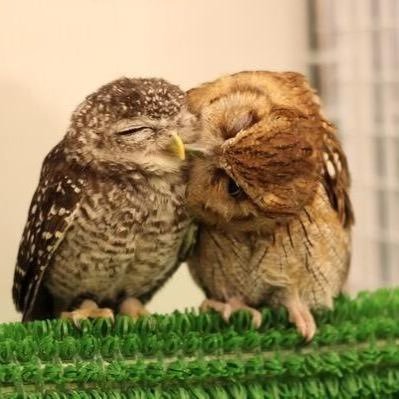 ðïŒæŽèéšèªãè¯ãåŠã³/è¯ãåã/è¯ãéã¹ïŒð