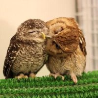 🎌＃晴耕雨読】良く学び/良く働き/良く遊べ！🎌