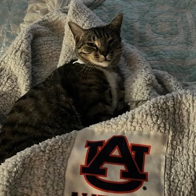 Zacarias 🦚 🇺🇸