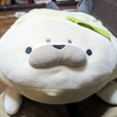 キウイアザラシ