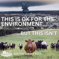 Unmask the Great Deceivers . Humanity is awake.