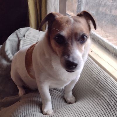 Rhonda Tinsley ๐บ๐ฆ ๐๐๐๐๐๐พ๐ฆ