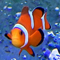 な⃝を⃝.:*ʚïɞ*:.