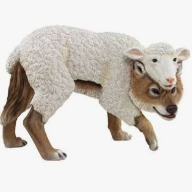 Wolf in Sheep's Clothing