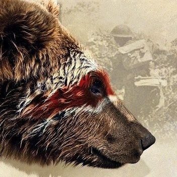 🕊️ Piotr Szychta 🇵🇱