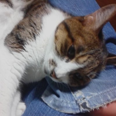 𝙰𝟼𝙼𝟸@𝙿𝟻𝟷