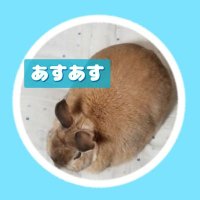 まーち(あすあす)