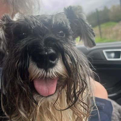 Stan 🐾🌈 🏳️‍🌈Ronda💖💙Laveen💔Miss Veronica🌈