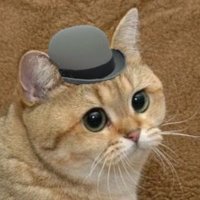 The true cat of science