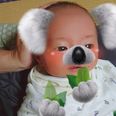 ﾍﾞﾋﾞｰﾊﾟｰｸﾛｲﾔﾙｻﾎﾟｰﾀｰ🏵1万円相当🧮💰🎁🏵みーちゃんママ