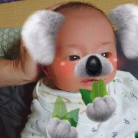 ﾍﾞﾋﾞｰﾊﾟｰｸﾛｲﾔﾙｻﾎﾟｰﾀｰ🏵1万円相当🧮💰🎁🏵みーちゃんママ