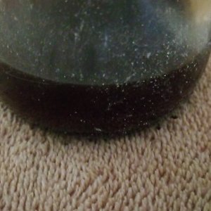 EyesForwardWithPolitics