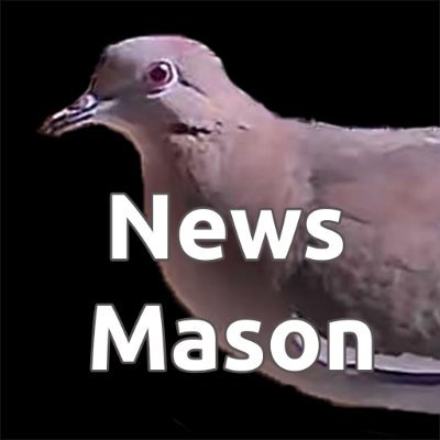 News Mason