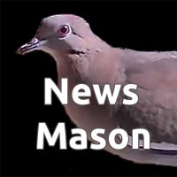 News Mason