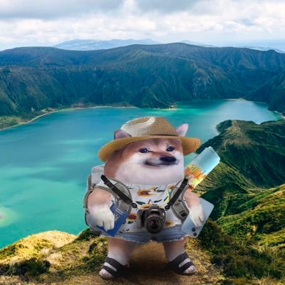 Travefella 🇺🇸🇺🇦