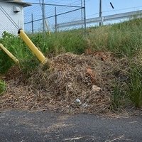 yama kawa 2019/06/03 2024/10/26 2026/10/19 不法投棄