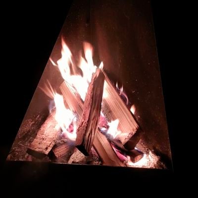 りー@インデックス投資でFIREしたい