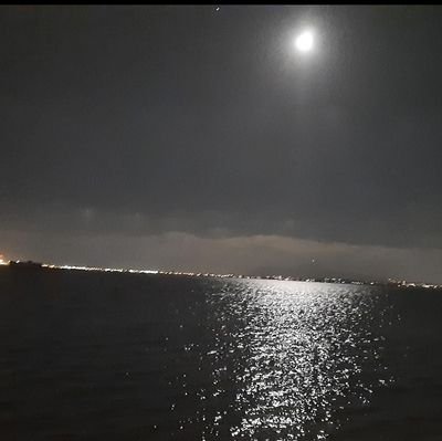 grande Arabo مراد