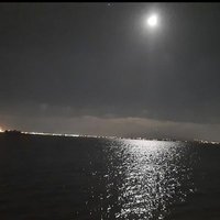 grande Arabo مراد