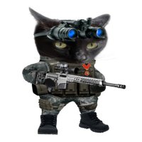 War Witch will hold this territory