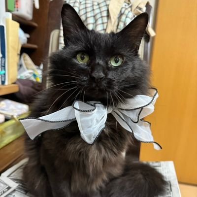 リンのかあさん