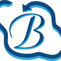 Bhavitra Technologies