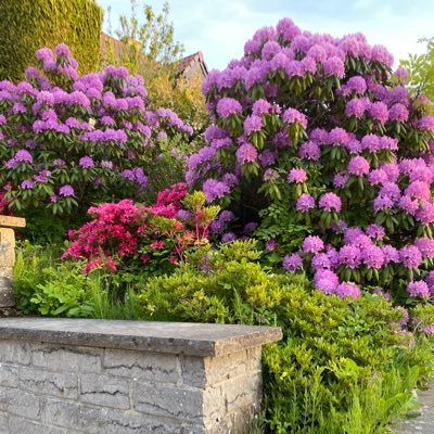 Sessiz Sedasız 🌸